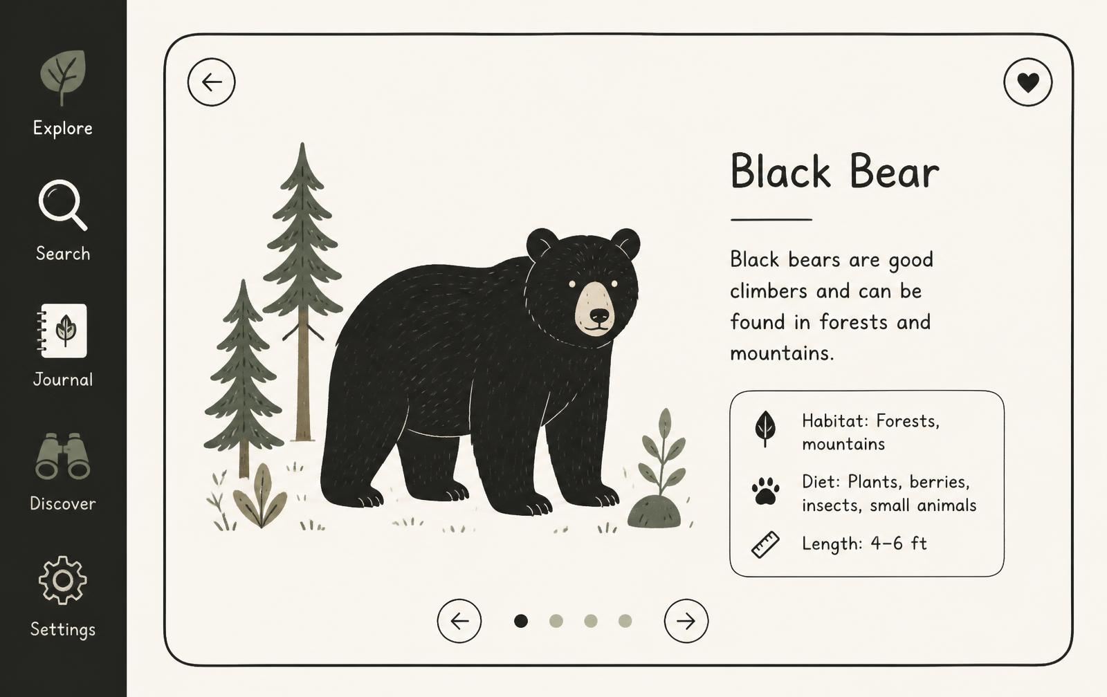 Wilda learning app screen showing an illustrated bear and facts about its habitat